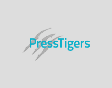 WordPress Specialized Services