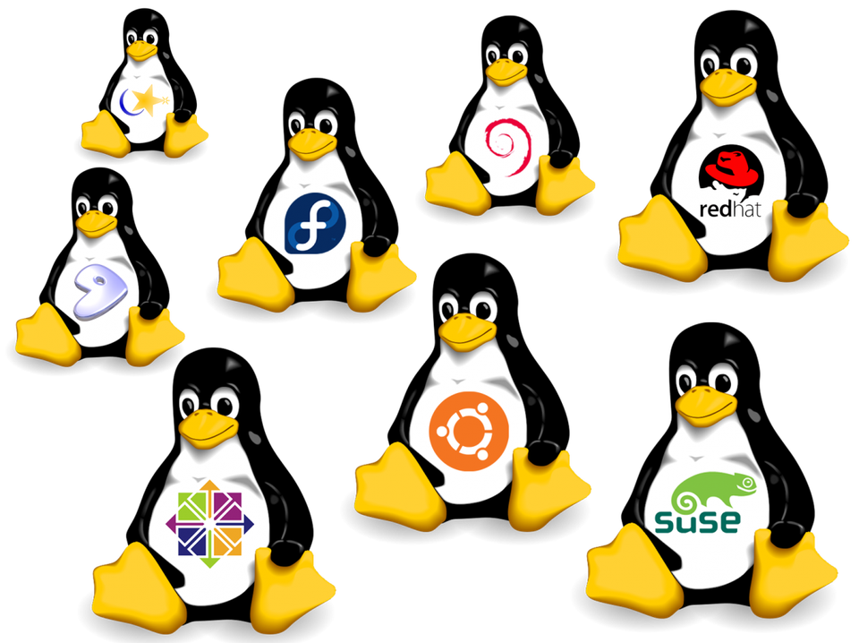 10 Reasons for a Successful migration from Windows to Linux 3