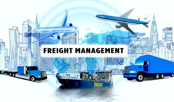 Unveil the benefits - Freight and Shipping Software Management System 1