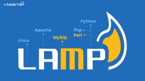 Read more about the article How to become a LAMP stack developer