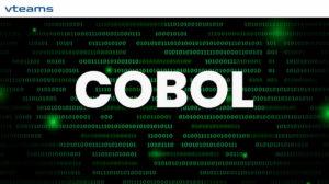 Read more about the article People who work with COBOL in 2022