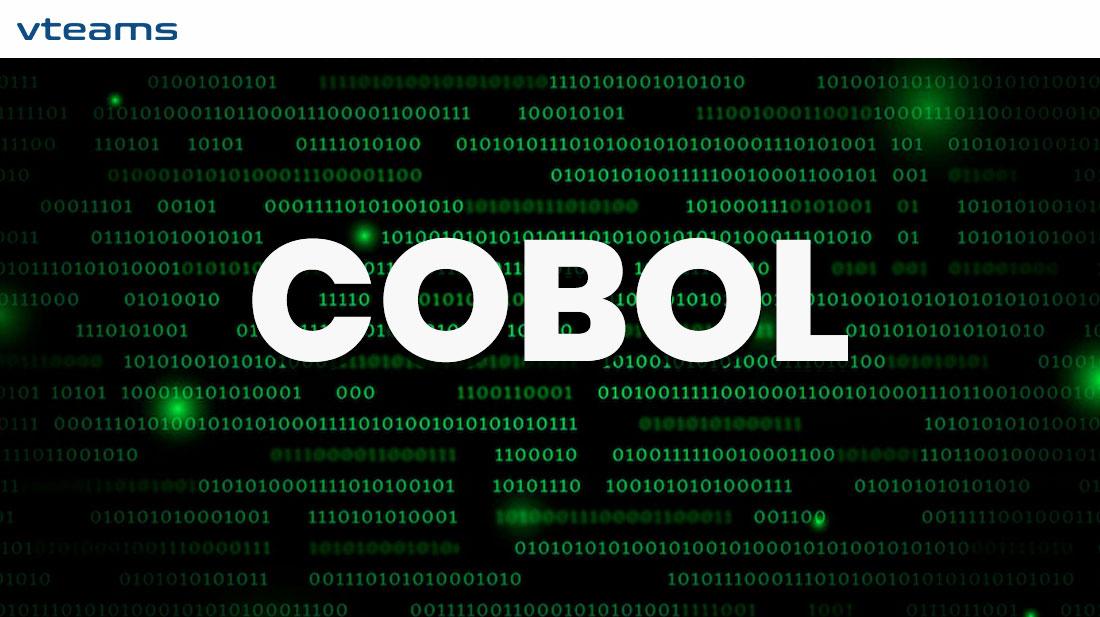 You are currently viewing People who work with COBOL in 2022