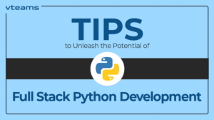 Read more about the article Tips to Unleash the Potential of Full Stack Python Development